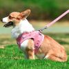 dog Harnesses and dog leash set; New dog leash corduroy breathable dog chest strap reflective pet chest strap walking dog rope set - coffee - XS