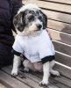 Aspen Winter-White Fashion Pet Parka Coat - Small