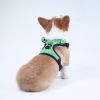 dog harness set; with leas frog leash pet mesh breathable small dog chest back retractable dog leash pet harness - Calf+traction rope - XS