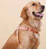 Touchdog 'Macaron' 2-in-1 Durable Nylon Dog Harness and Leash - Pink - Small