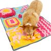 Pet Life 'Sniffer Snack' Interactive Feeding Pet Snuffle Mat - Blue / Pink / Orange