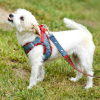 Step-In Denim Dog Harness - Red Plaid - Medium - Red Plaid