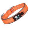 Pet dog collar; diving cloth reflective nylon collar; medium and large dog collar - Color ribbon: orange - M 2.5*(38-48)CM