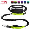 Hands Free Dog Leash with Zipper Pouch; Dual Padded Handles and Durable Bungee for Walking; Jogging and Running Your Dog - Green suit - 2.5*122CM