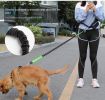 Hands Free Dog Leash with Zipper Pouch; Dual Padded Handles and Durable Bungee for Walking; Jogging and Running Your Dog - Green suit - 2.5*122CM